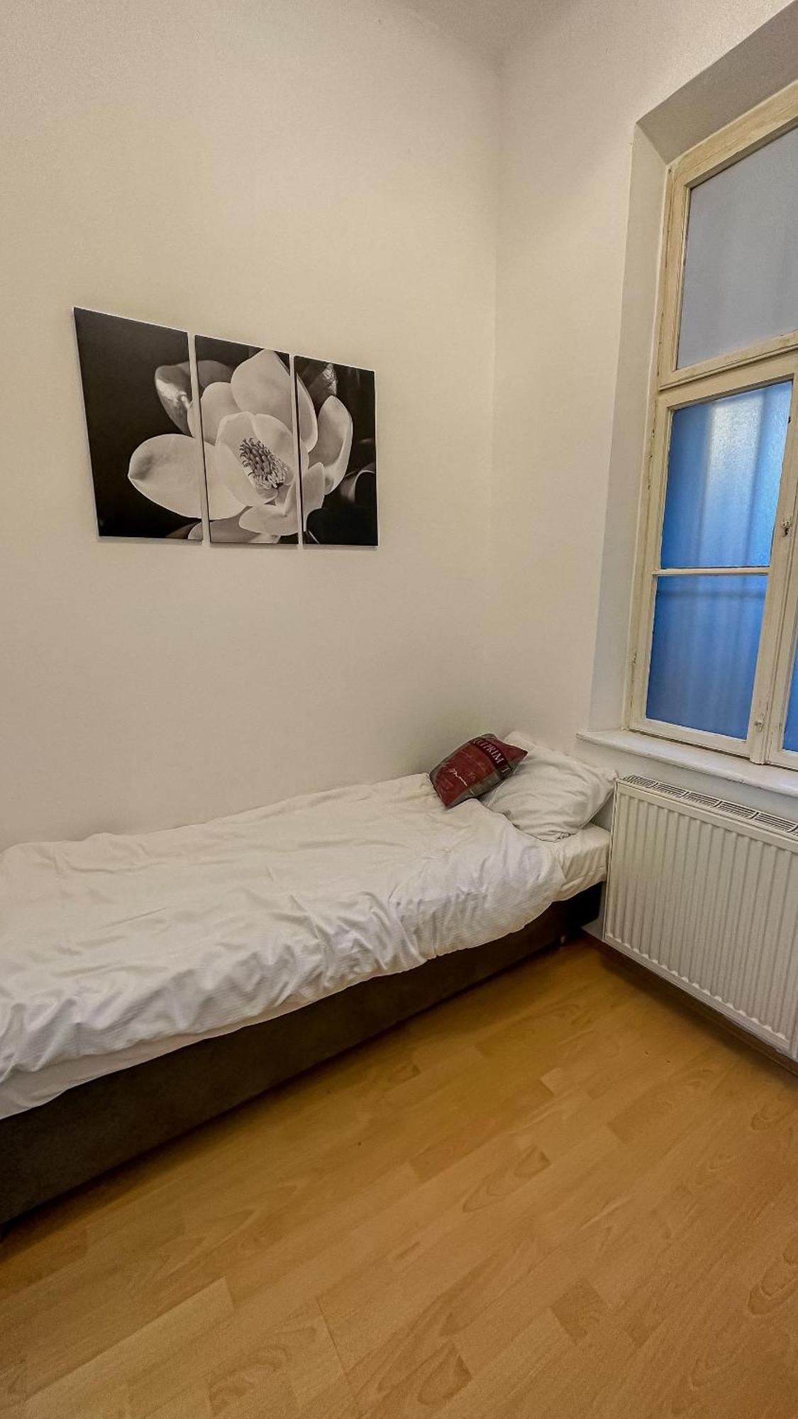Garden-Eden Apartment 维也纳 外观 照片